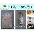 Herbicida / weedicide glifosato 747g / l, 757g / l WDG, 74.7%, 75.7% WDG, cas: 1071-83-6-lq